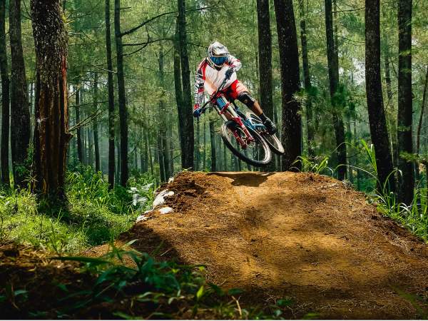 Activities offerd by Westinholidays
